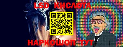 прущие грибы Донецк