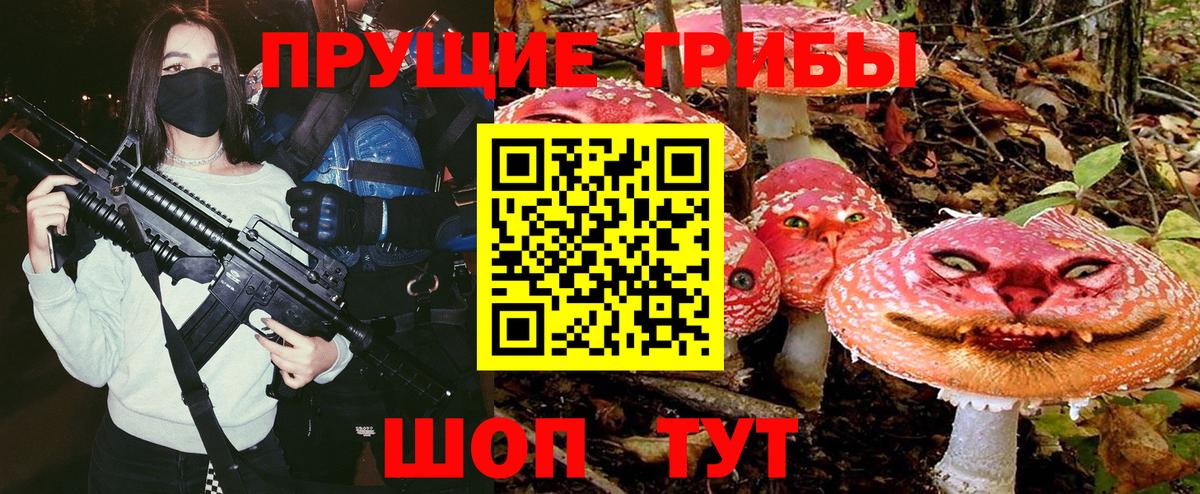 Жуковский  Галлюциногенные грибы ЛСД  Галлюциногенные грибы GOLDEN TEACHER  купить закладку  Вход с VPN 